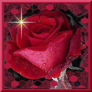 MA ROSE D OREE DIARRA